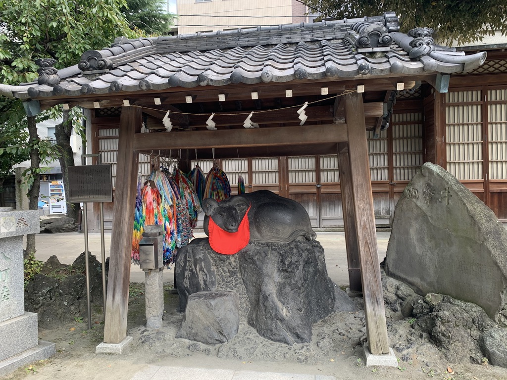 画像に alt 属性が指定されていません。ファイル名: 1010456A-7AE4-4092-96D1-3B90D0951D9C_1_105_c.jpeg