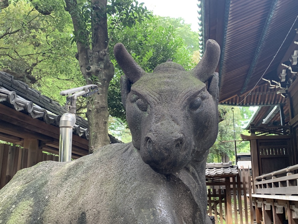 画像に alt 属性が指定されていません。ファイル名: 261F9130-4FF5-42C5-8138-1CB8A2280027_1_105_c.jpeg