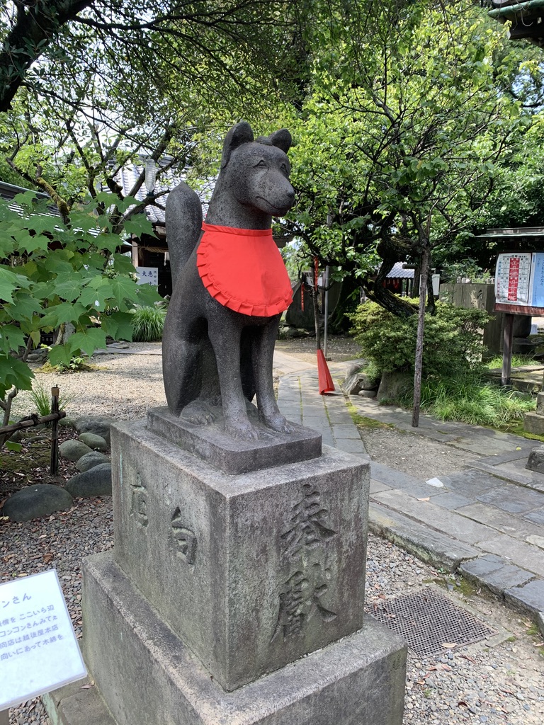 画像に alt 属性が指定されていません。ファイル名: CB85B8E4-17D9-45EA-9DD0-A56F6B0D1E76_1_105_c.jpeg