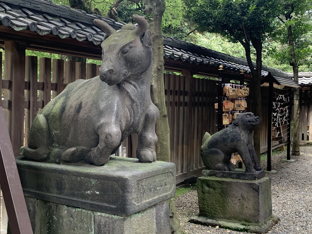 画像に alt 属性が指定されていません。ファイル名: FEF90AF3-2168-4905-A907-37E49F6FA0EC_1_105_c.jpeg